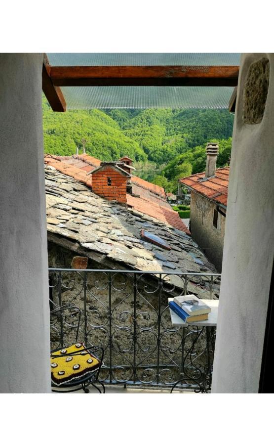 Casa Vacanze Al Colletto - Con Terrazza Panoramica In Centro Storico Vagli di Sotto Екстер'єр фото